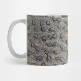 Spotted Volcanic Rock Formation Mug